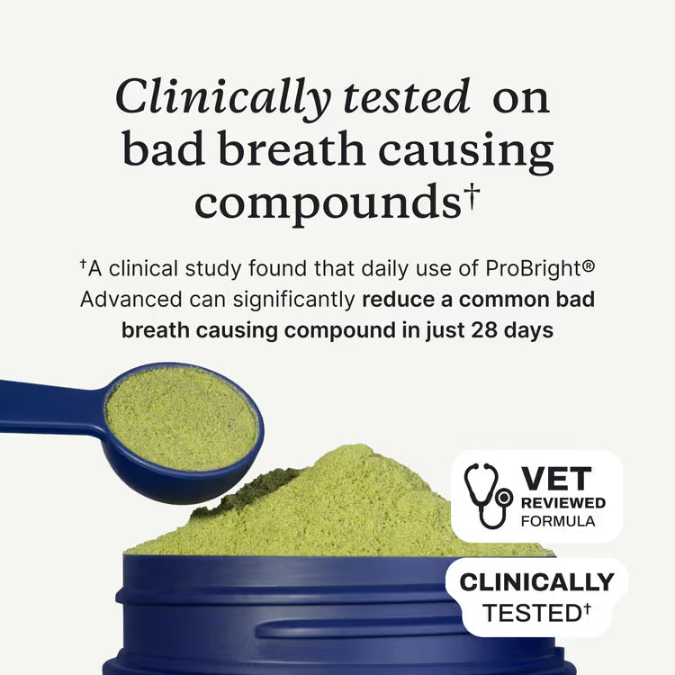 ProBright® Advanced dog dental powder