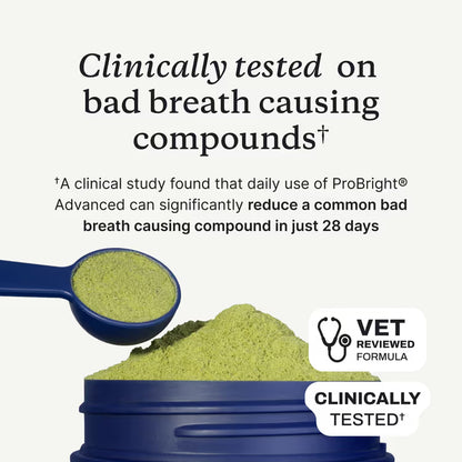 ProBright® Advanced dog dental powder