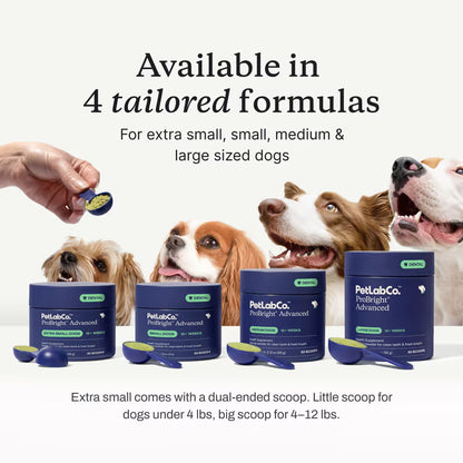 ProBright® Advanced dog dental powder