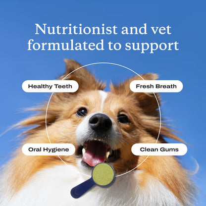 ProBright® Advanced dog dental powder